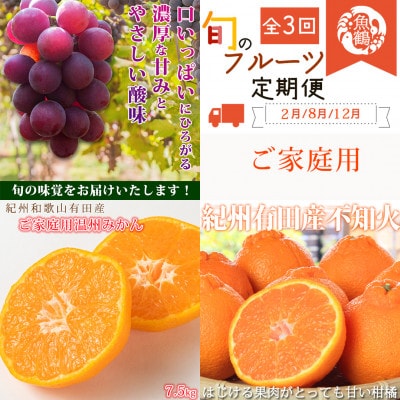 【発送月固定定期便】紀州和歌山産旬のご家庭用フルーツセット(巨峰・みかん・不知火)全3回
