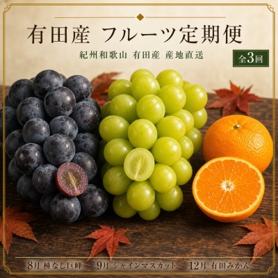 【発送月固定定期便】紀州和歌山産旬のフルーツセット(種なし巨峰・シャイン・みかん)全3回