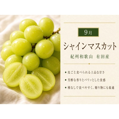 【発送月固定定期便】紀州和歌山産旬のフルーツセット(種なし巨峰・シャイン・みかん)全3回