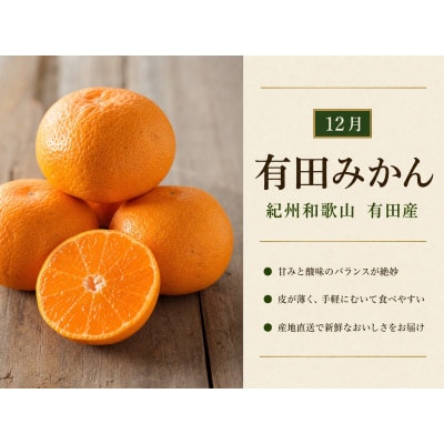 【発送月固定定期便】紀州和歌山産旬のフルーツセット(種なし巨峰・シャイン・みかん)全3回