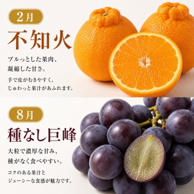 【発送月固定定期便】紀州和歌山産旬のフルーツセット(種なし巨峰・シャイン・みかん・不知火)全4回