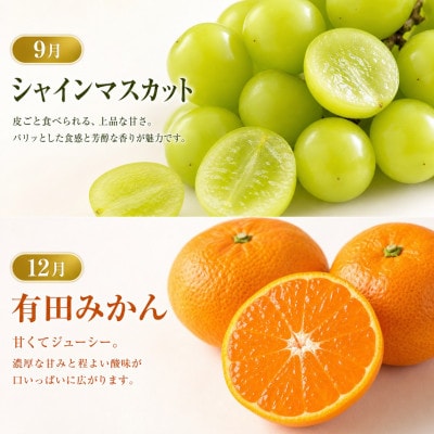 【発送月固定定期便】紀州和歌山産旬のフルーツセット(種なし巨峰・シャイン・みかん・不知火)全4回