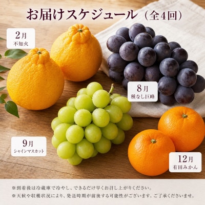 【発送月固定定期便】紀州和歌山産旬のフルーツセット(種なし巨峰・シャイン・みかん・不知火)全4回