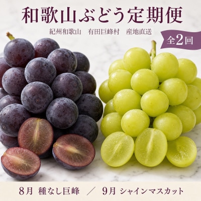 【発送月固定定期便】紀州有田産のぶどうセット(種なし巨峰約2kg・シャインマスカット約2kg)全2回
