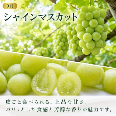 【発送月固定定期便】紀州有田産のぶどうセット(種なし巨峰約2kg・シャインマスカット約2kg)全2回