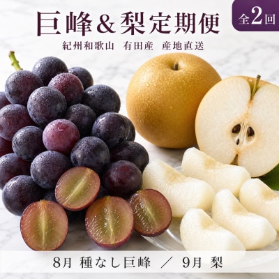 【発送月固定定期便】紀州有田産旬のフルーツセット(種なし巨峰約2kg・梨約2kg)全2回