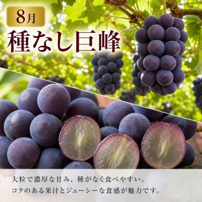 【発送月固定定期便】紀州有田産旬のフルーツセット(種なし巨峰約2kg・梨約2kg)全2回