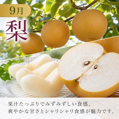 【発送月固定定期便】紀州有田産旬のフルーツセット(種なし巨峰約2kg・梨約2kg)全2回
