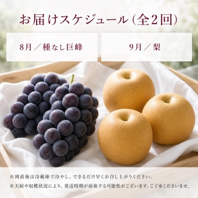 【発送月固定定期便】紀州有田産旬のフルーツセット(種なし巨峰約2kg・梨約2kg)全2回