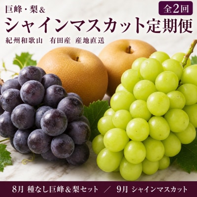 【発送月固定定期便】紀州有田産旬のフルーツセット(種なし巨峰&梨セット・シャインマスカット)全2回