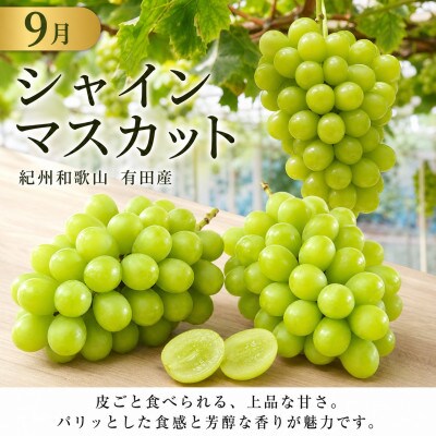 【発送月固定定期便】紀州有田産旬のフルーツセット(種なし巨峰&梨セット・シャインマスカット)全2回