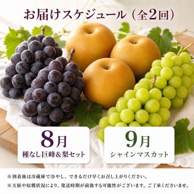 【発送月固定定期便】紀州有田産旬のフルーツセット(種なし巨峰&梨セット・シャインマスカット)全2回