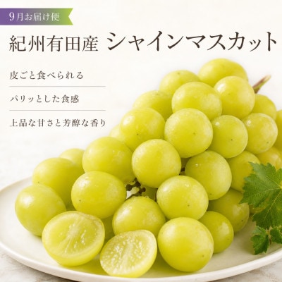 【発送月固定定期便】紀州有田産旬のフルーツセット(梨3玉・シャインマスカット2房)全2回
