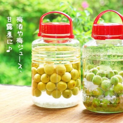 青梅 南高梅 約3kg 秀品 LまたはMサイズ 和歌山県産 A品 梅酒作り用 梅ジュース作り用
