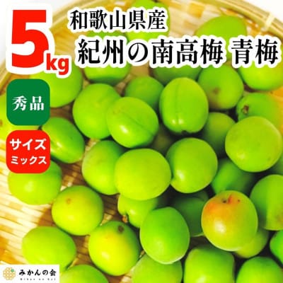 青梅 南高梅 約5kg 秀品  サイズミックス 和歌山県産 A品 梅酒作り用 梅ジュース作り用