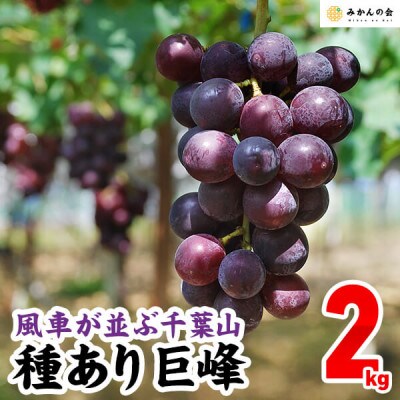 風車が並ぶ千葉山 種あり巨峰 2kg