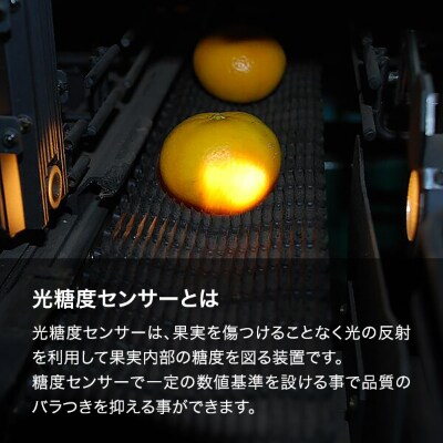 めっちゃ甘いんじゃみかん 糖度12度以上 特秀品 2kg 和歌山県有田産 有田みかん S品 贈答用