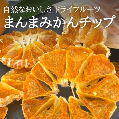 ドライみかん まんまみかんチップ 200g(20g×10袋)無添加 保存料不使用 有田みかん使用
