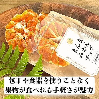 ドライみかん まんまみかんチップ 200g(20g×10袋)無添加 保存料不使用 有田みかん使用