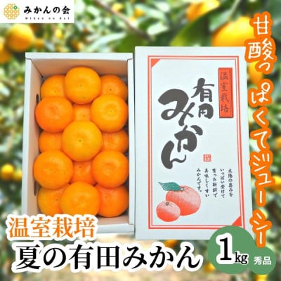 夏の有田みかん 1kg 温室栽培 和歌山県産(有田川町) 秀品