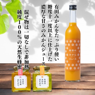 みかんジュース (500ml×2本) と はちみつ ( みかん蜂蜜・百花蜜 各210g) セット