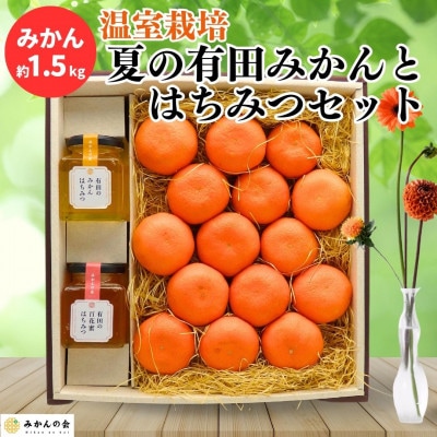 夏の有田みかん(約1.5kg)と 有田のはちみつ( みかん蜂蜜・百花蜜 各230g) セット
