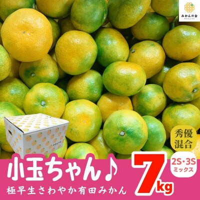 小玉ちゃん さわやか 極早生 みかんの会の有田みかん 7kg秀優混合 2Sサイズ以下 和歌山県産