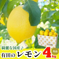 すっぱいんじゃ 有田のレモン 約4kg 秀品 サイズミックス 国産 (和歌山県有田川町) 産地直送