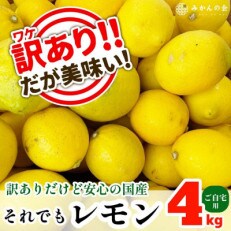 それでも 有田のレモン 約4kg 訳あり サイズミックス 国産(和歌山県有田川町産)産地直送
