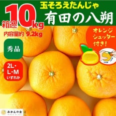 八朔 秀品 箱込10kg(内容量約9.2kg) 2L/L/Mサイズのいずれか 和歌山県産