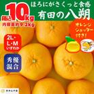 八朔 箱込10kg(内容量約9.2kg) 秀優混合 玉ぞろい 2L/L/Mサイズいずれか 和歌山県産