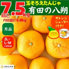 八朔 秀品 箱込7.5kg(内容量約6.8kg) 2L/L/Mサイズのいずれか 和歌山県産