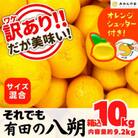 八朔 訳あり それでも 八朔 箱込10kg(内容量約9.2kg) サイズミックス 和歌山県 ご家庭用