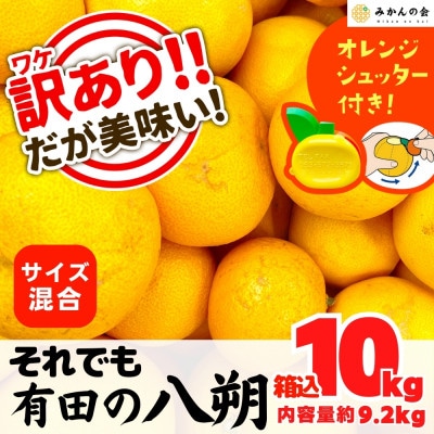 八朔 訳あり それでも 八朔 箱込10kg(内容量約9.2kg) サイズミックス 和歌山県 ご家庭用