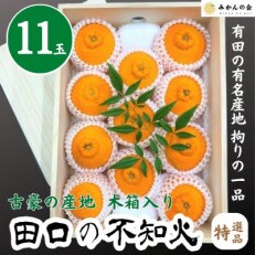 古豪の産地 田口の不知火 11玉木箱入 特選品 産地直送 贈答用