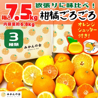 旬の柑橘食べ比べ 柑橘ごろごろ3種 箱込7.5kg (内容量約6.8kg) 秀優混合 和歌山県産