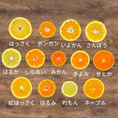 旬の柑橘食べ比べ 柑橘ごろごろ3種 箱込7.5kg (内容量約6.8kg) 秀優混合 和歌山県産