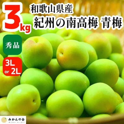 和歌山県産 南高梅 青梅 秀 3kg