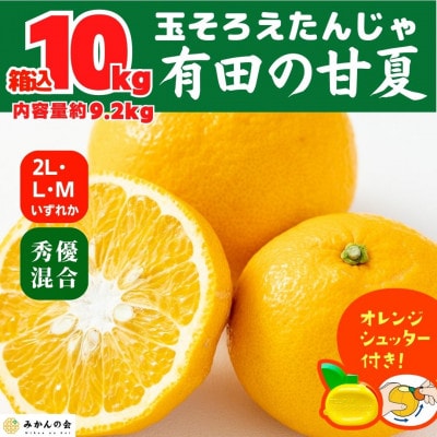 甘夏 箱込 10kg (内容量約9.2kg) 秀優品混合 2L/L/Mサイズのいずれか