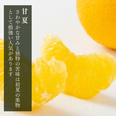 甘夏 箱込 10kg (内容量約9.2kg) 秀優品混合 2L/L/Mサイズのいずれか