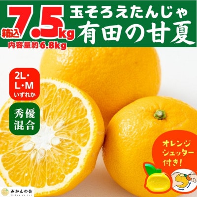 甘夏 箱込 7.5kg (内容量約6.8kg) 秀優品混合 2L/L/Mサイズのいずれか