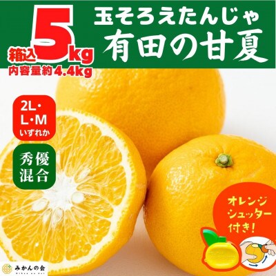 甘夏 箱込 5kg (内容量約4.4kg) 秀優品混合 2L/L/Mサイズのいずれか