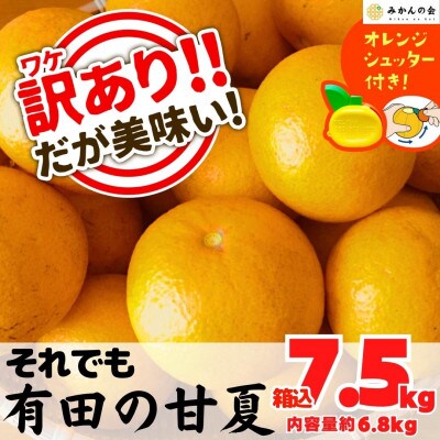 訳あり それでも 甘夏 箱込 7.5kg (内容量約6.8kg) 秀優品混合 サイズミックス