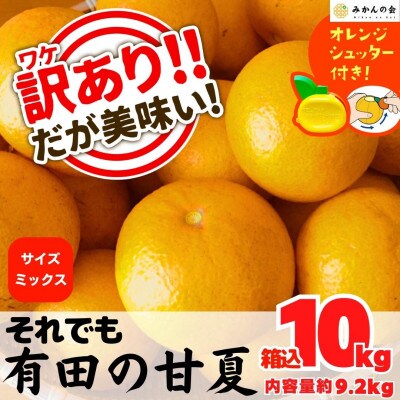訳あり それでも 甘夏 箱込 10kg (内容量約9.2kg) 秀優品混合 サイズミックス