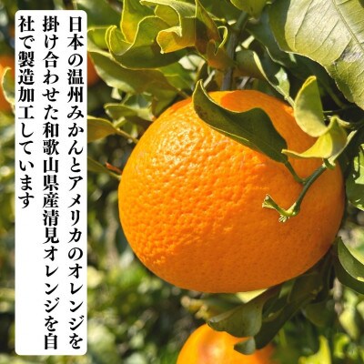 まんま清見チップ 200g(20g×10袋) ドライフルーツ 和歌山県産果物使用