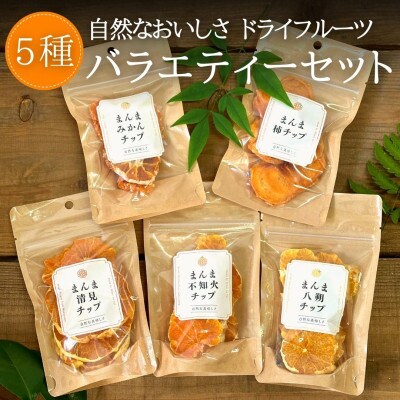 まんまチップ 5種類 (各2袋 計10袋)バラエティーセット ドライフルーツ 和歌山県産果物使用