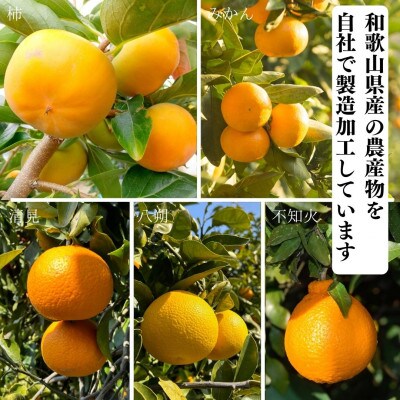 まんまチップ 5種類 (各2袋 計10袋)バラエティーセット ドライフルーツ 和歌山県産果物使用