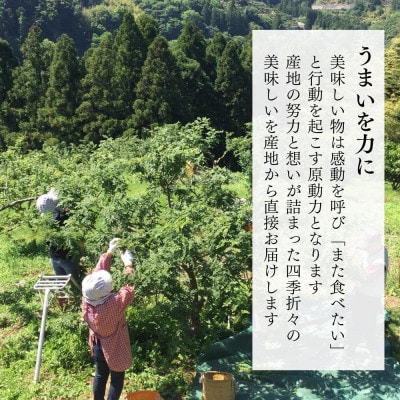 冷凍山椒 凍ってんじゃ ぶどう山椒 1kg ( 100g × 10袋 ) 和歌山県産 産地直送