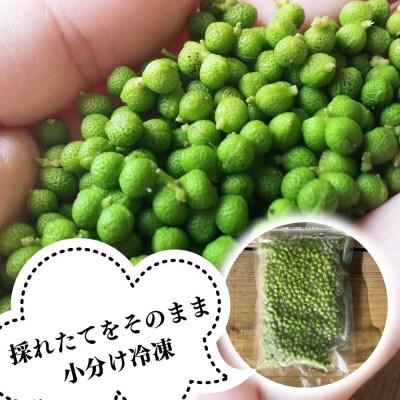 冷凍山椒 凍ってんじゃ ぶどう山椒 500g ( 100g × 5袋 ) 和歌山県産 産地直送