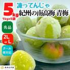 冷凍 青梅 南高梅 約5kg 秀品 2L or Lサイズ 和歌山県産 紀州有田 産地直送 クール便